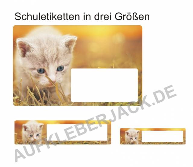 Aufkleber kleine Katze